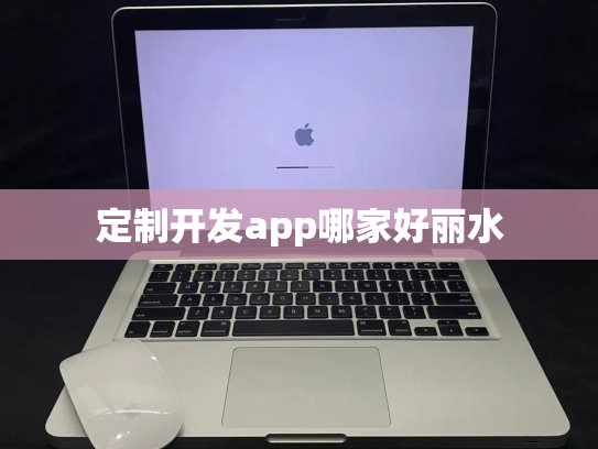 定制开发app哪家好丽水