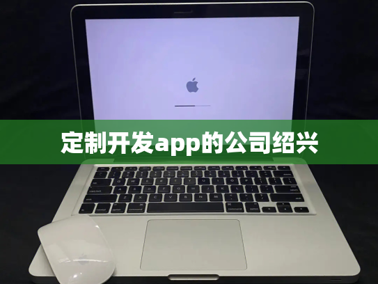 定制开发app的公司绍兴