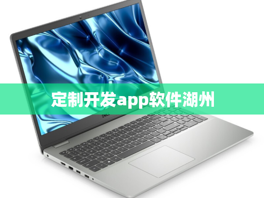 定制开发app软件湖州