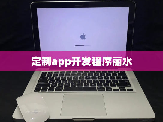 定制app开发程序丽水