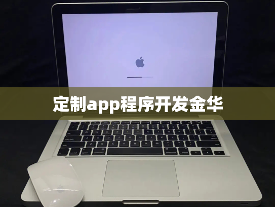 定制app程序开发金华