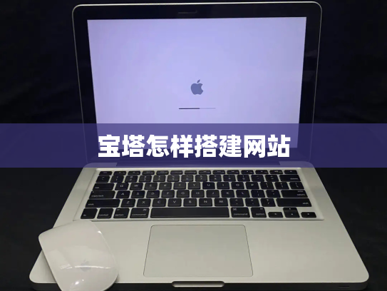 宝塔怎样搭建网站