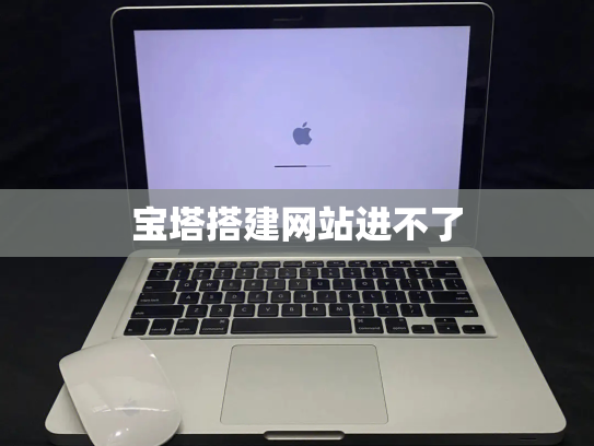宝塔搭建网站进不了