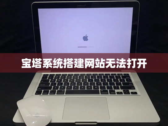 宝塔系统搭建网站无法打开