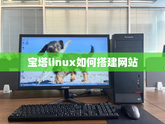 宝塔linux如何搭建网站