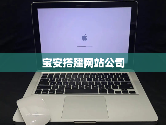 宝安搭建网站公司