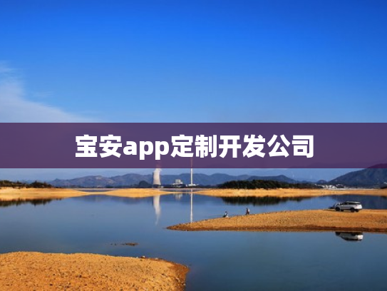 宝安app定制开发公司
