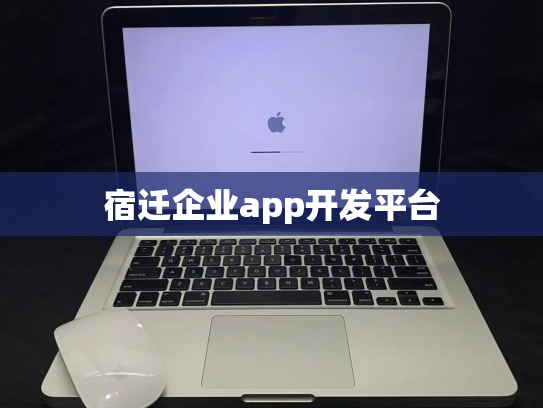 宿迁企业app开发平台