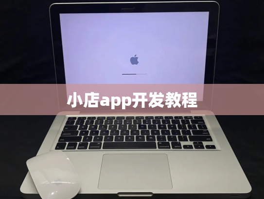 小店app开发教程