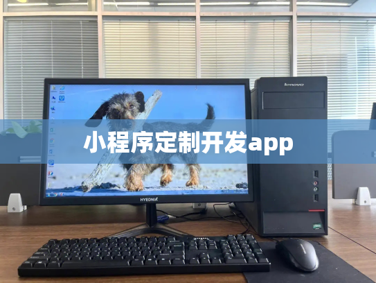 小程序定制开发app