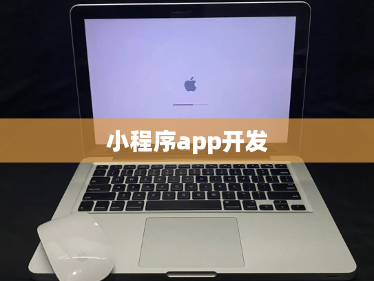 小程序app开发