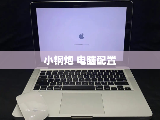 小钢炮 电脑配置