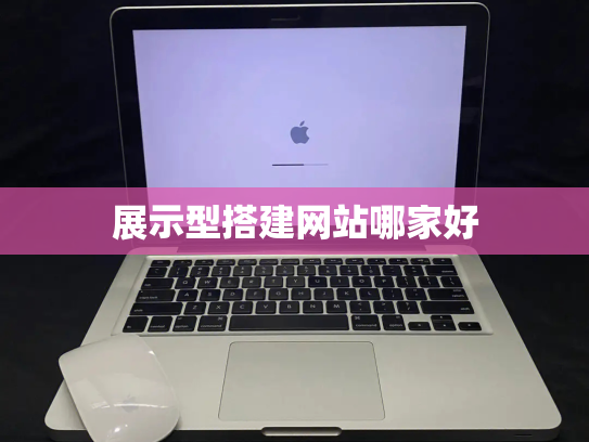展示型搭建网站哪家好