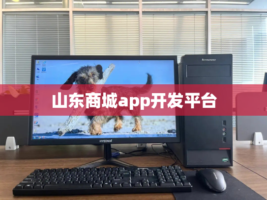山东商城app开发平台