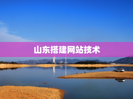 山东搭建网站技术