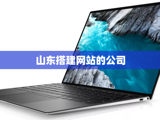 山东搭建网站的公司