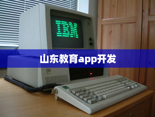 山东教育app开发