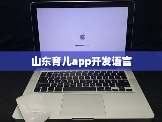 山东育儿app开发语言