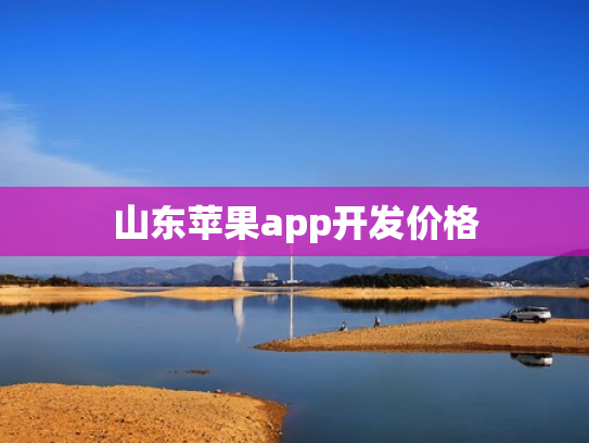 山东苹果app开发价格