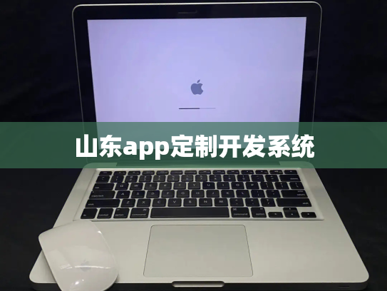 山东app定制开发系统