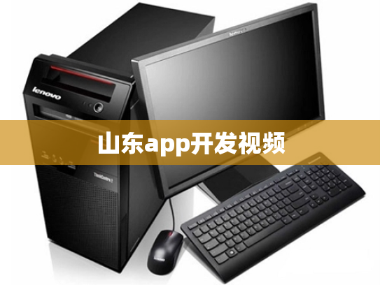 山东app开发视频