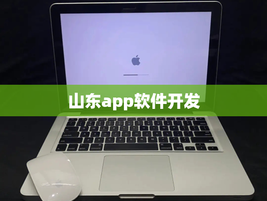 山东app软件开发
