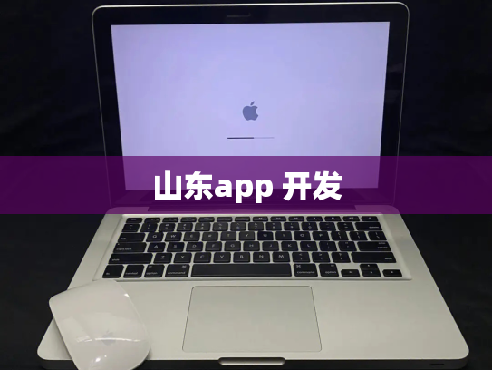 山东app 开发