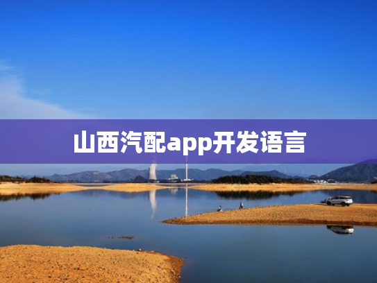 山西汽配app开发语言