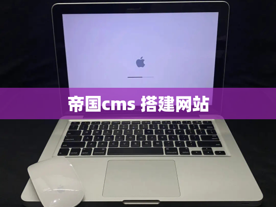 帝国cms 搭建网站