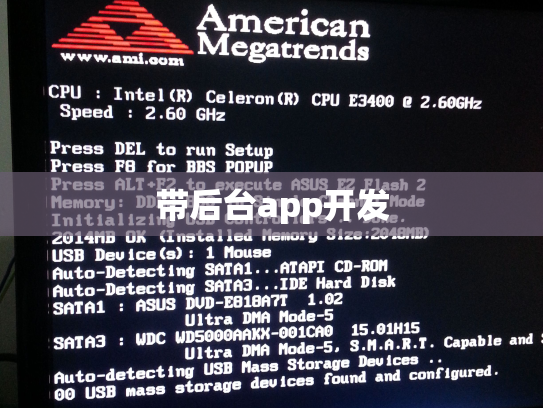 带后台app开发