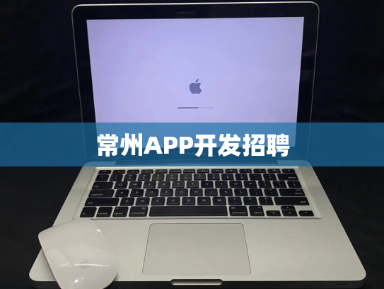 常州APP开发招聘