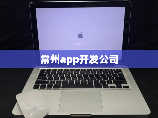 常州app开发公司