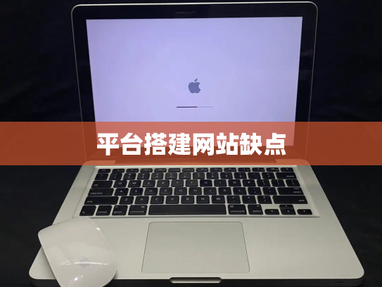 平台搭建网站缺点
