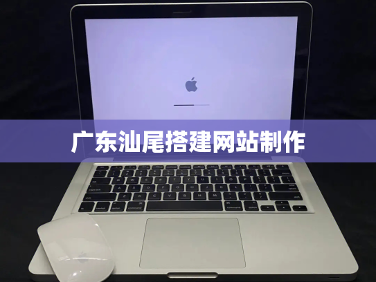 广东汕尾搭建网站制作