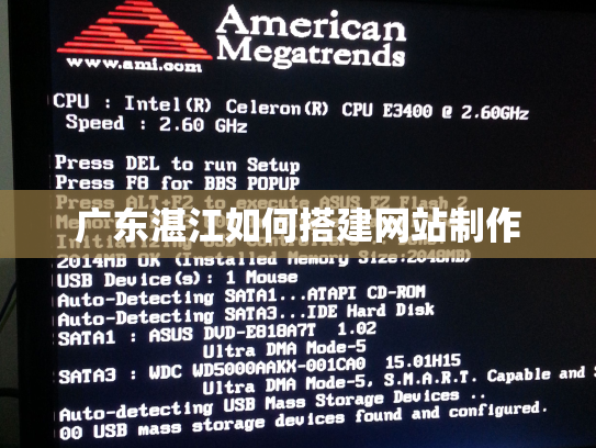 广东湛江如何搭建网站制作