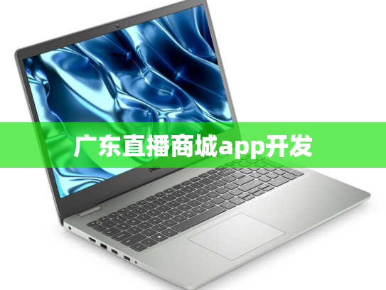 广东直播商城app开发