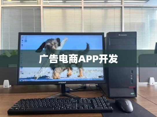 广告电商APP开发