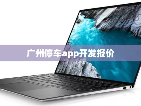 广州停车app开发报价