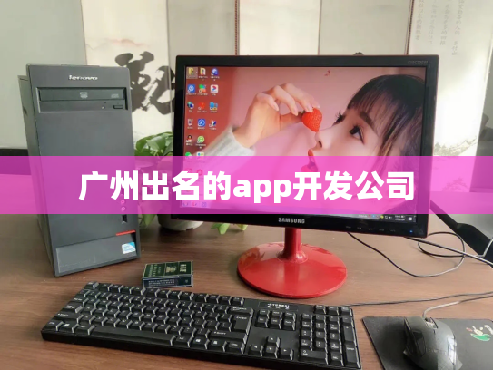 广州出名的app开发公司