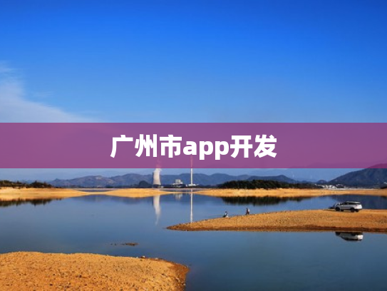 广州市app开发