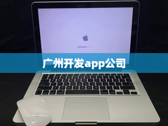 广州开发app公司