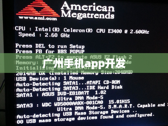 广州手机app开发