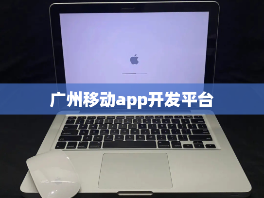 广州移动app开发平台