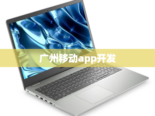广州移动app开发