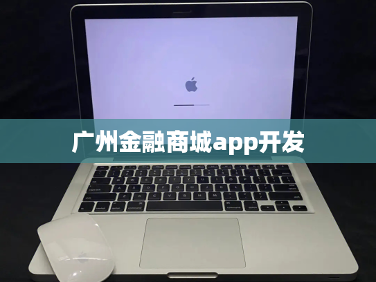 广州金融商城app开发