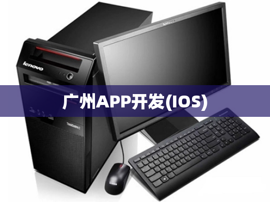 广州APP开发(IOS)
