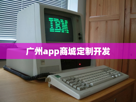 广州app商城定制开发