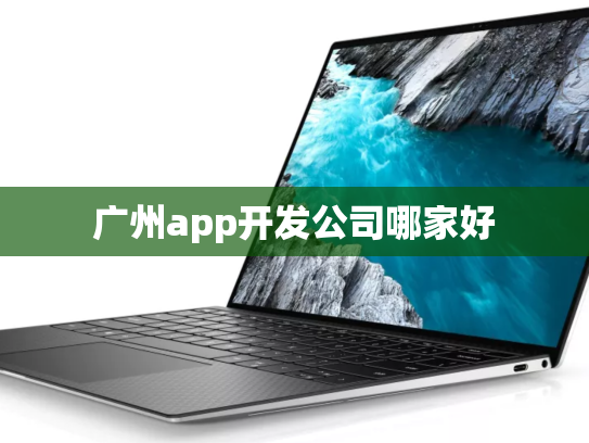 广州app开发公司哪家好