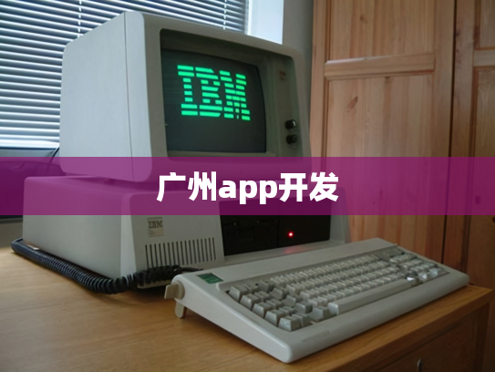 广州app开发