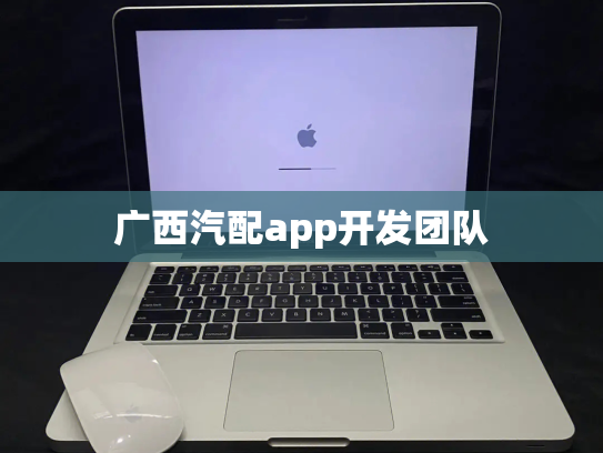 广西汽配app开发团队